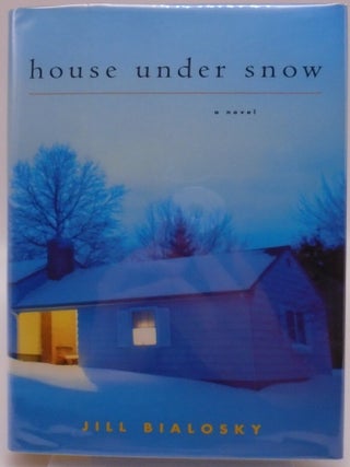 House under Snow